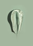 Aloe Gel Base