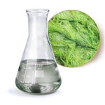 Algae Extract