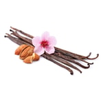 Almond Vanilla Fragrance Oil