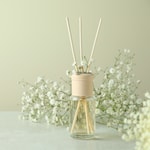 Casablanca Lily Fragrance Oil (Discontinued)