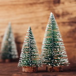 Christmas Tree Farm Fragrance Oil (Discontinued)