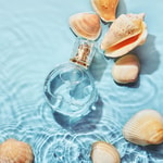 Coastline Fragrance Oil