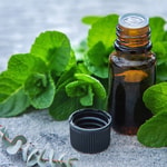 Eucalyptus Mint Pure Essential Oil Blend