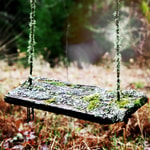 Oakmoss Fragrance Oil