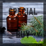 Redwood Forest Pure Essential Oil Blend (DISC)