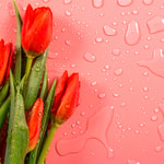Spring Rain Fragrance Oil