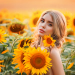 Summertime Magic Fragrance Oil (DISC)