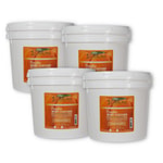Pumpkin Body Custard Base | 4 Pack 8.5lb Gallons