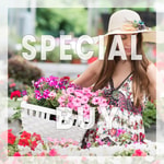 Spring Garden Fragrance Oil (DISC)