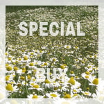 Field of Daisies Fragrance Oil (DISC)