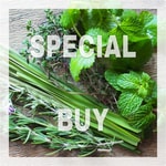 Lemongrass and Green Leaves Fragrance Oil (DISC)