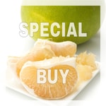 Pummelo (Pomelo) Fragrance Oil (DISC)
