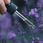 Lavender 40/42 Pure Essential Oil