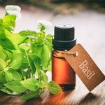 Basil Blendable Essential Oil