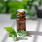 Peppermint Essential Oil