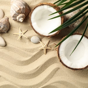 Beach Vibes Fragrance Oil