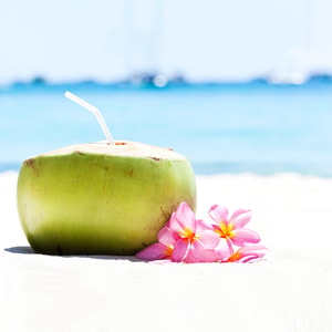 Caribbean Coconut Fragrance Oil