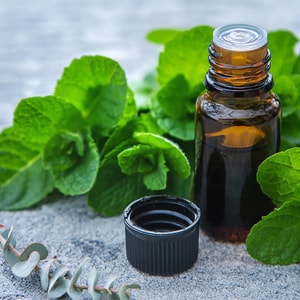Eucalyptus Mint Pure Essential Oil Blend