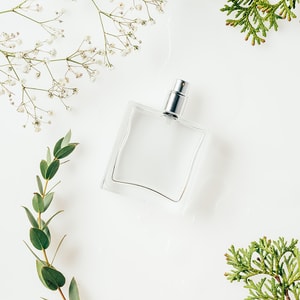 Fresh and Clean Fragrance Oil