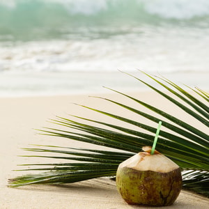 Fun in the Sun Fragrance Oil