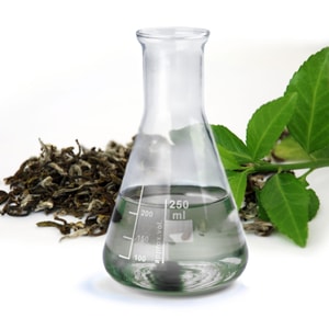 Green Tea Extract