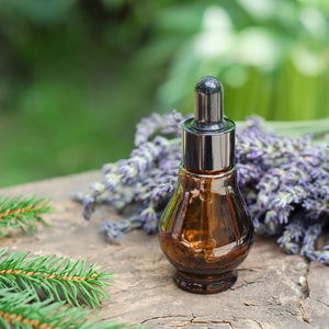 Lavender and Fraser Fir Fragrance Oil
