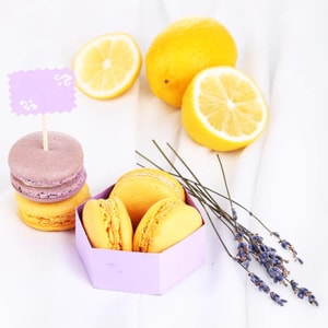 Lavender Lemon Macaron Fragrance Oil