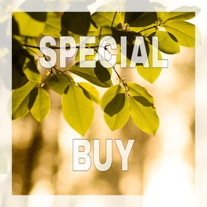 Leaves * BBW Type Fragrance Oil (Discontinued)