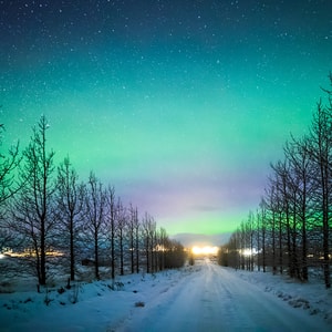 Northern Lights Fragrance Oil