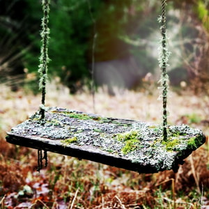 Oakmoss Fragrance Oil