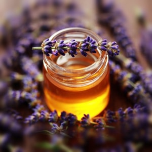 French Lavender & Honey * BBW Type Fragrance Oil