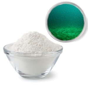 Plankton Extract Powder