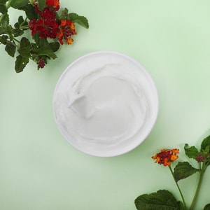 Pumpkin Body Custard Base
