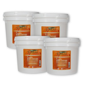Pumpkin Body Custard Base | 4 Pack 8.5lb Gallons