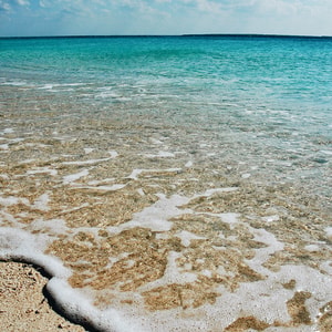 Clean Waters Fragrance Oil