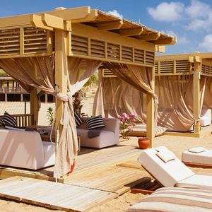Summer Beach Club Fragrance Oil