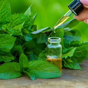 Cornmint Blendable Essential Oil