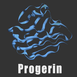 Progerin and senescence marker expression