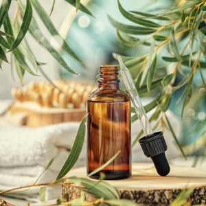 Eucalyptus Blendable Essential Oil