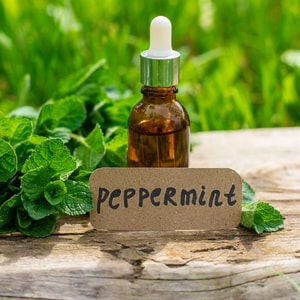 Peppermint Blendable Essential Oil