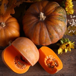 Pumpkin Blendable Fragrance Oil