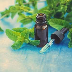 Spearmint Blendable Essential Oil