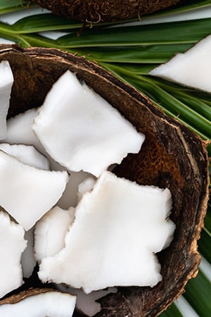 CoconutChunks-CaprylicCapric CROPPED