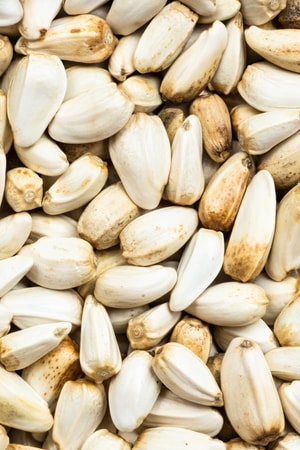 safflower seeds close up