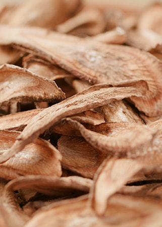 Burdock