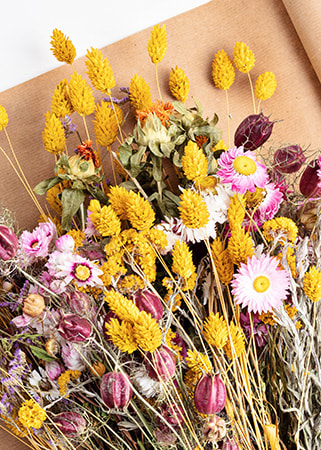 Dried Flowers