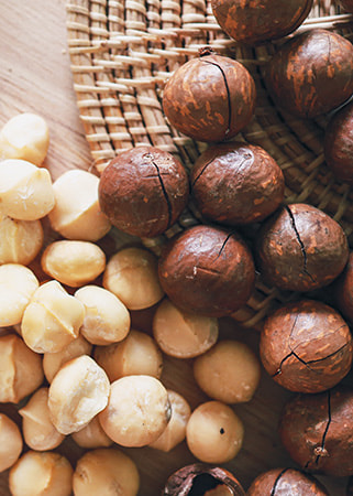 macadamia