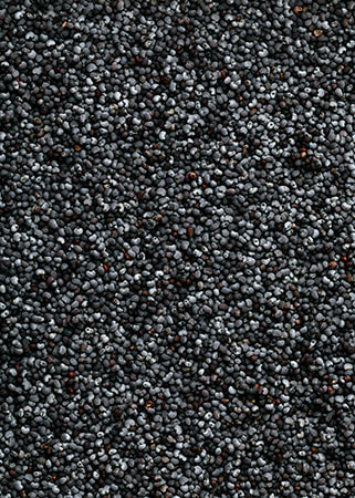 Poppy Seeds