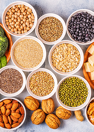 Vegetable Protein 2