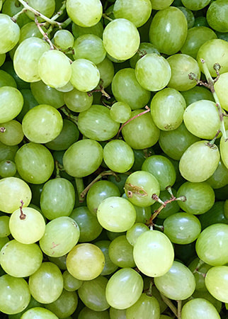 Grapes